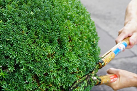 庭手入れ・植木伐採・剪定